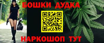 индика Ирбит