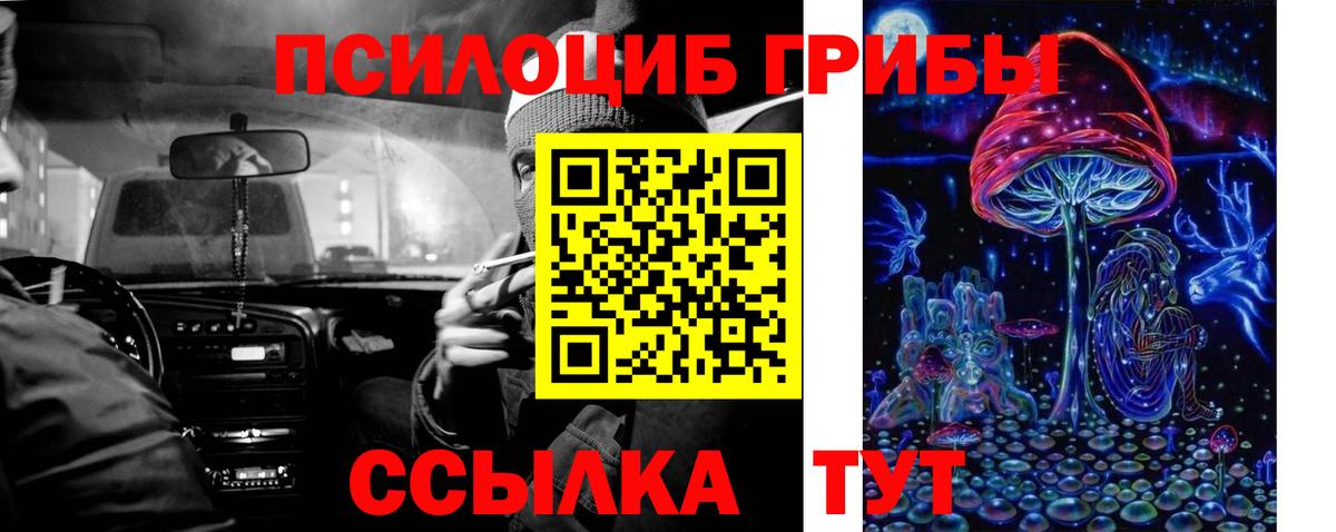 Усть-Джегута  Псилоцибиновые грибы Psilocybine cubensis  Вход с VPN 