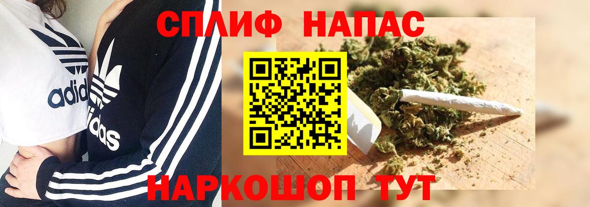 Шишки марихуана марихуана Усть-Джегута